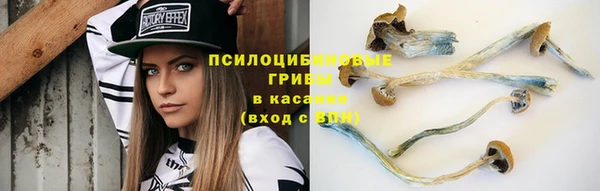 винт Абаза