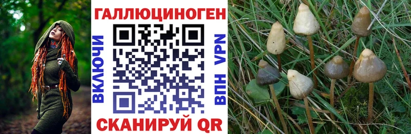 Галлюциногенные грибы GOLDEN TEACHER  как найти   мега ссылка  Уварово 